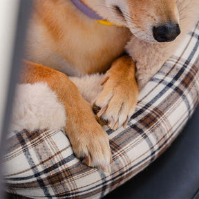 Cama de pet para carro, clássico e fofo, mantenha seu pet seguro