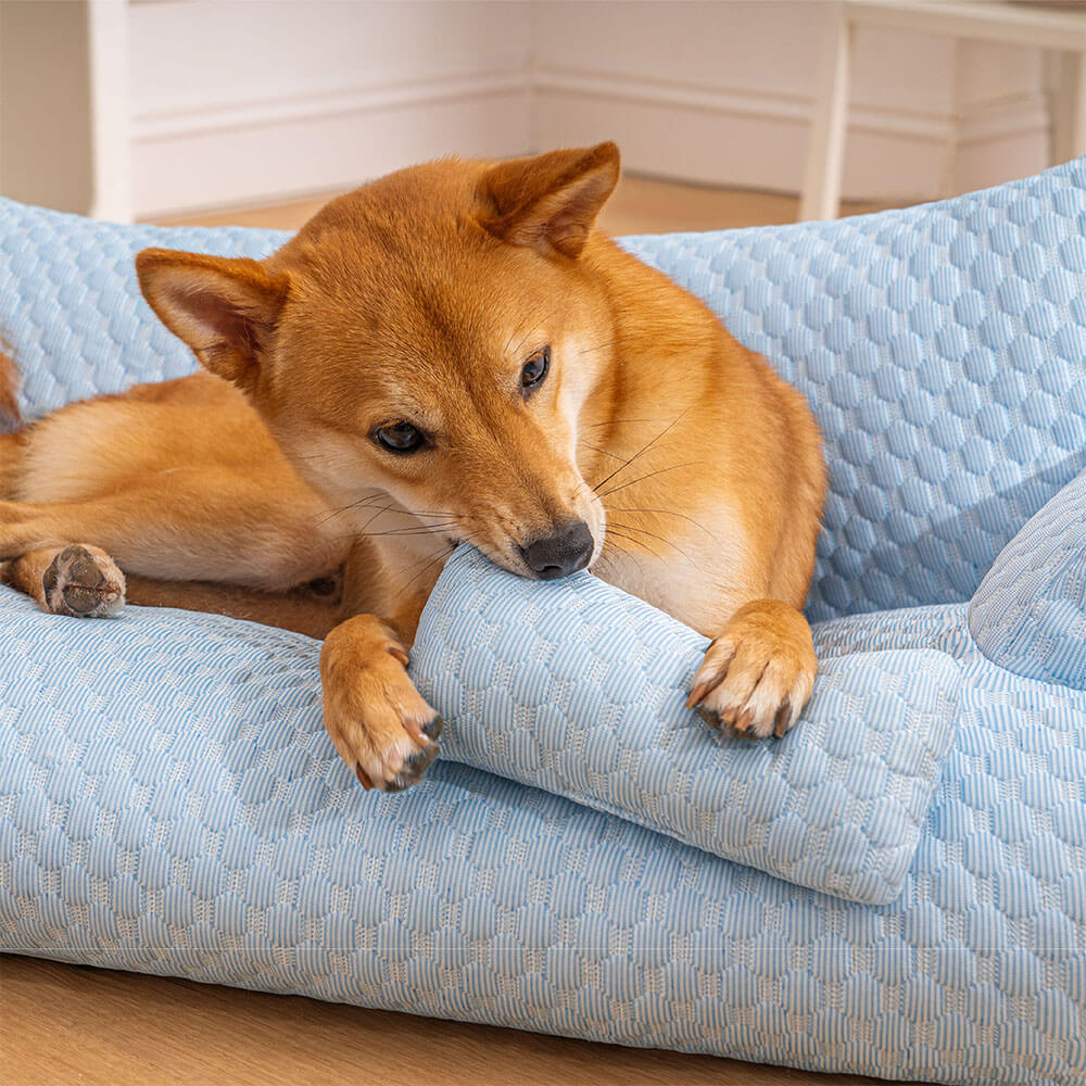 Sofá Cama para Pet Ice