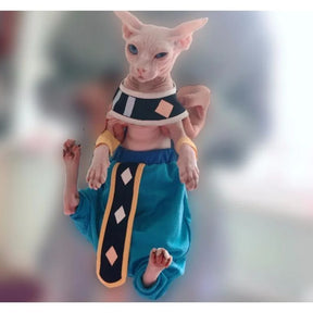 Roupas de Gato Sem Pêlos Dragon Ball Deus da Destruição Beerus