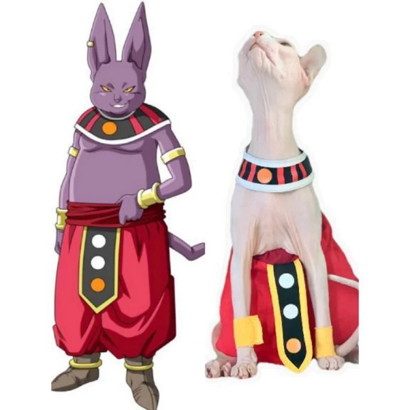 Roupas de Gato Sem Pêlos Dragon Ball Deus da Destruição Beerus