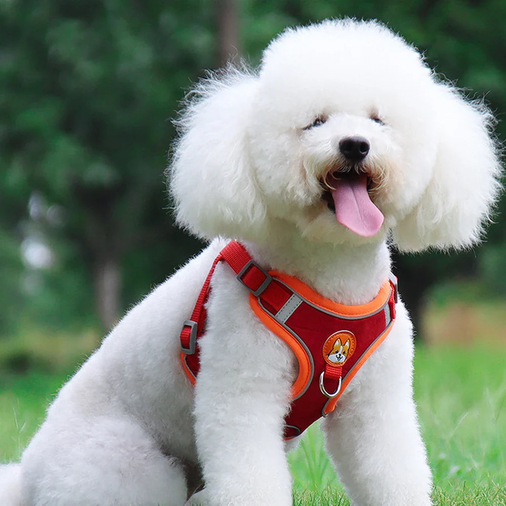 Colete de Cachorro Ajustável e Reflexivo Para Cães Pequenos e Gatos